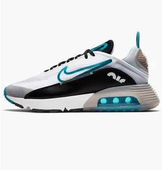 Кросівки чоловічі Nike Air Max 2090 Black/White CV8835-100