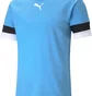 Футболка мужская Puma Teamrise Jersey Light Blue 704932-18