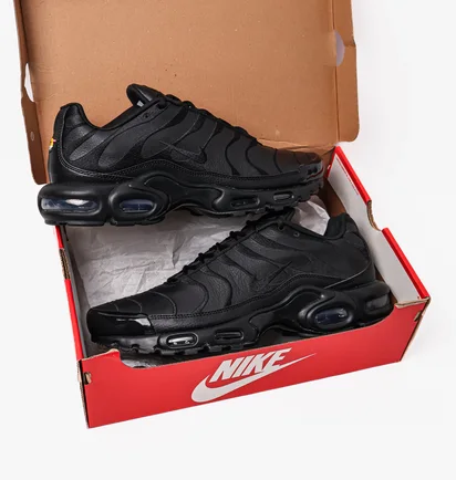 Кроссовки мужские Nike Air Max Plus Black Aj2029-001