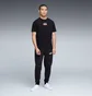 Футболка мужская Puma House Of Graphics Black 688894-01