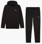 Спортивный костюм мужской Puma Evostripe Black 688231-01__688234-01