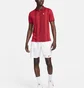 Поло мужское Nike Polo Dri-Fit The Polo Red FD5398-677