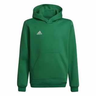 Худі дитяче Adidas Entrada Green Hi2143