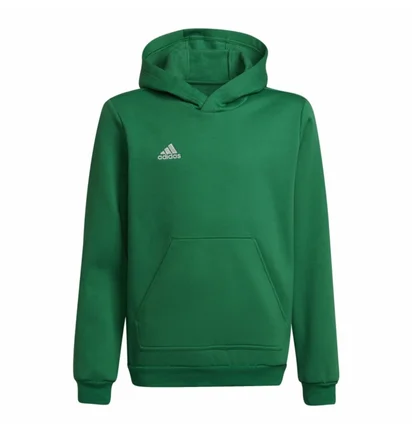 Худи детское Adidas Entrada Green Hi2143