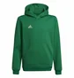 Худи детское Adidas Entrada Green Hi2143