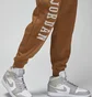 Штаны унисекс Air Jordan Essentials Holiday Brown FD7467-281
