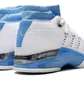 Кроссовки мужские Air Jordan 17 White FJ0395-101