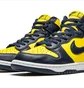 Кросівки чоловічі Nike Dunk High Sp Black/Yellow CZ8149-700