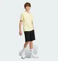 Шорты детские Adidas All Szn Kids Sportswear Black IX9442