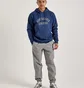 Худи мужское New Balance Athletics Graphic Hoodie Blue MT43509NNY