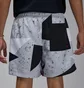 Шорты мужские Air Jordan Essentials MenS 5 Poolside Shorts Grey IB8818-011