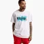 Футболка мужская Air Jordan Men'S Graphic T-Shirt White Dm1426-100