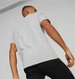Футболка чоловіча Puma Mercedes-Amg Petronas Motorsport Logo Tee White 538482-02