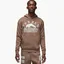 Худі чоловіче Air Jordan Artist Series By Umar Rashid Brown Dv7571-274