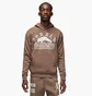 Худі чоловіче Air Jordan Artist Series By Umar Rashid Brown Dv7571-274