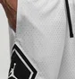 Шорты женские Nike W J Spt Dmnd Short 4 White FN5134-101
