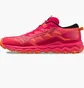 Кроссовки женские Mizuno Wave Daichi 7 Gtx Pink J1GK225672