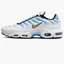 Кросівки чоловічі Nike Air Max Plus MenS Shoes White DM0032-101