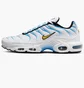 Кросівки чоловічі Nike Air Max Plus MenS Shoes White DM0032-101