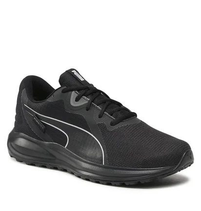 Кроссовки мужские Puma Twitch Runner Pute-Tex Black 377506-01