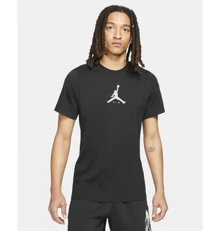 Футболка чоловіча Air Jordan M J Brand 23 Swoosh Ss Crew Black CZ8378-010
