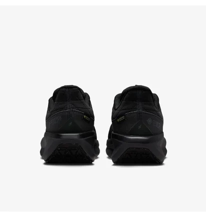 Кроссовки женские Nike Air Winflo 11 Gtx Black FQ1359-001