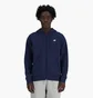 Толстовка мужская New Balance Sport Essentials Full Zip Blue MJ41502NNY