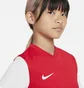Футболка детская Nike Y Nk Df Tiempo Prem Ii Jsy Ss Red Dh8389-657