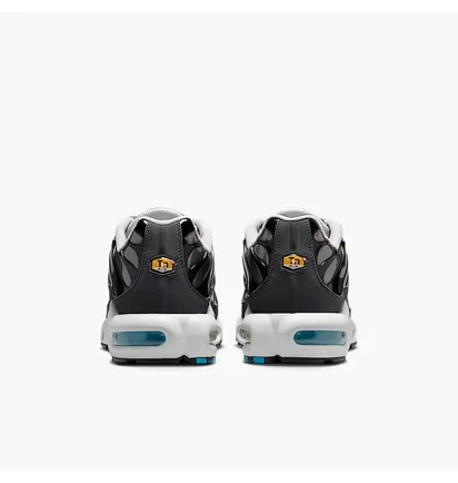 Кроссовки мужские Nike Air Max Tn Metallic HV2525-001