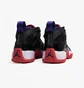 Кросівки чоловічі Air Jordan Two Trey Raptors Black Do1925-001