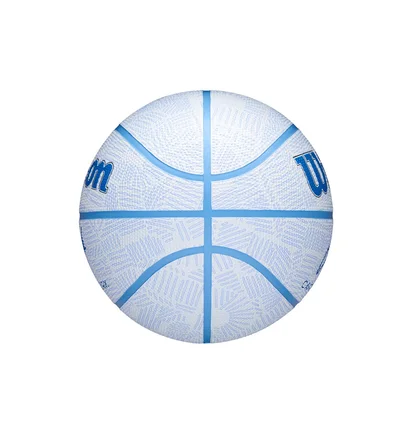 Баскетбольний м'яч Wilson Cc Envision White/Light Blue WZ3022401XB5