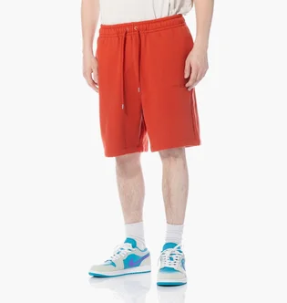 Шорти чоловічі Air Jordan Wordmark Shorts Orange FJ0700-622