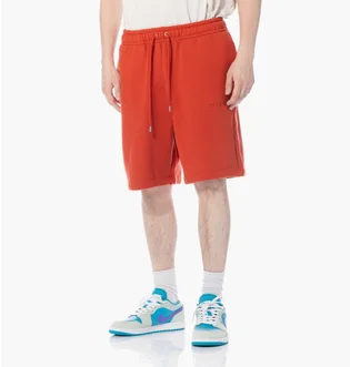 Шорты мужские Air Jordan Wordmark Shorts Orange FJ0700-622