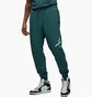 Штаны мужские Air Jordan Essentials Fleece Baseline Green FD7345-366