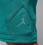 Шорты мужские Air Jordan Flight Flc Dmnd Turquoise FV7257-392