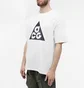 Футболка мужская Nike Acg Big Logo Tee White DJ3644-121