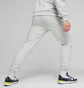 Штаны мужские Puma Squad Sweatpants Grey 676019-04