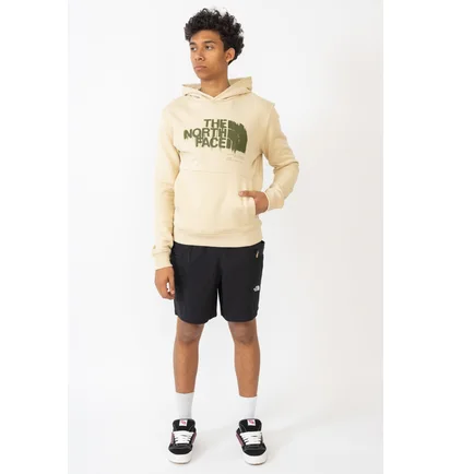 Худи мужское The North Face Graphic Hoodie Beige NF0A87ET3X4