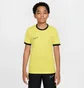 Футболка дитяча Nike Dri-Fit Academy 25 Yellow FZ9758-719