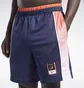 Шорты мужские Reebok Iverson Basketball Blue HE9353