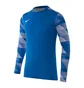 Кофта мужская Nike Dry Park Iv Goalkeeper Jersey Long Sleeve Light Blue CJ6066-463