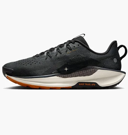 Кросівки чоловічі Nike Pegasus Trail 5 Black DV3864-006