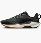 Кросівки чоловічі Nike Pegasus Trail 5 Black DV3864-006
