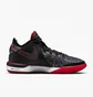 Кросівки унісекс Nike X Faze Clan Zoom Lebron Nxxt Gen Grey DR8784-001