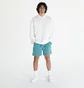 Шорти чоловічі Nike Acg Hiking Shorts Light Blue FN2430-338