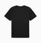 Футболка чоловіча Puma M Tad Essentials Heather Logo Black 525920-01