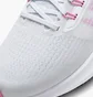 Кросівки жіночі Nike Pegasus 39 White Dh4072-104