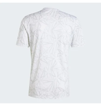 Футболка чоловіча Adidas Real Madrid Pre-Match White IT5101