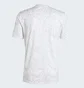 Футболка чоловіча Adidas Real Madrid Pre-Match White IT5101