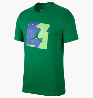 Футболка мужская Air Jordan Poolside MenS T-Shirt Green CJ6244-353